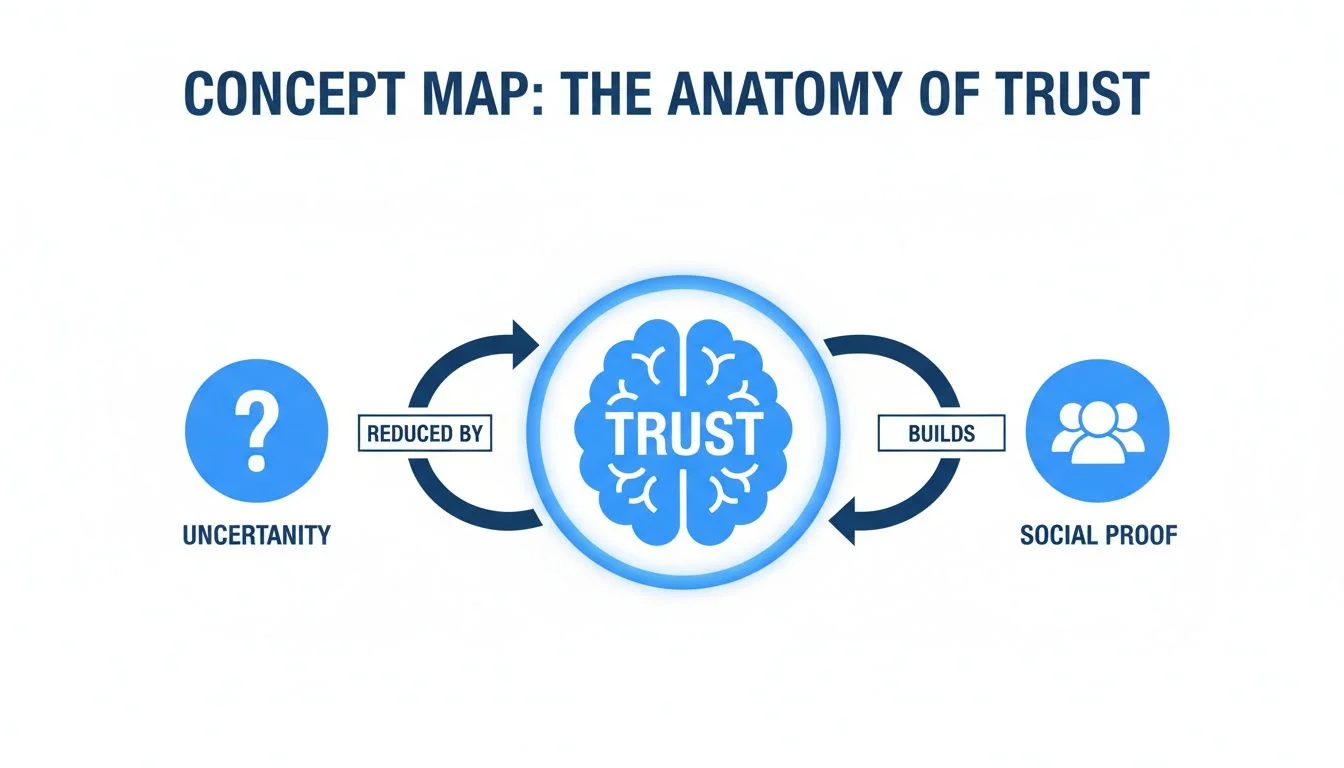 Concept map illustrating the anatomy of trust, showing uncertainty reduced by trust which builds social proof.